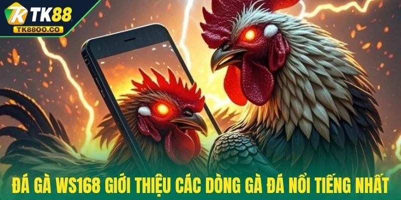 Đá Gà WS168 - Trực Tiếp Nghẹt Thở Và Thắng Cực Khủng 2025 4 Đá gà WS168 giới thiệu các dòng gà đá nổi tiếng nhất