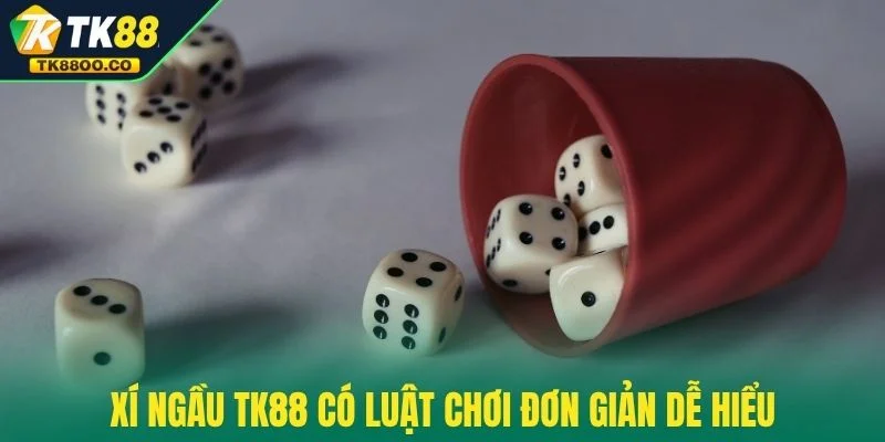 Xí Ngầu TK88 - Đặt Một Lần Ăn Lớn Với Tỷ Lệ Thắng 97% 2 Xí ngầu TK88 có luật chơi đơn giản dễ hiểu